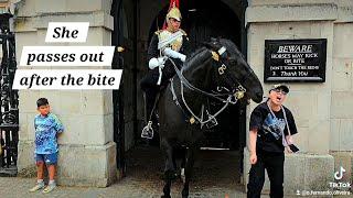 Tourist Faints at Horse Guards in London: She IGNORED the Sign, and the King's Horse Bit Her