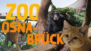 Zoo Osnabrück | Zoo-Eindruck