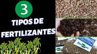 Os 3 TIPOS de Fertilizantes