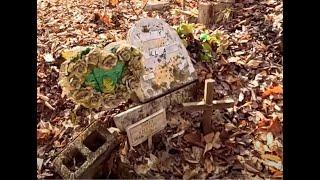 Hatfield Family Cemetery (Hidden section) Sarah Ann West Virginia