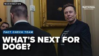 What's next for DOGE's future