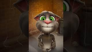 ¡Talking Tom y yo hemos creado juntos un magnífico vídeo! Tú también puedes crear tus vídeos superdi