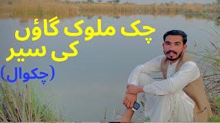 Chak Malook  Village vlog (Chakwal)