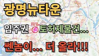 광명뉴타운 광명동 입주권 토지거래허가 물건...!!