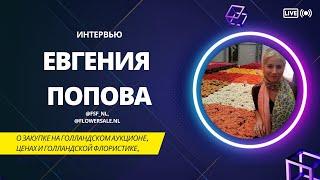 Интервью с Евгенией Поповой: Как закупать цветы напрямую с Голландского аукциона