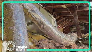 Tampa family's home collapses after roofers began storm-related repairs