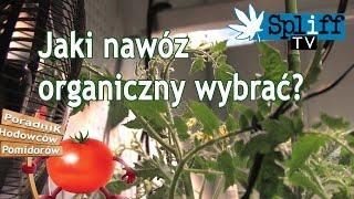 Jaki nawóz organiczny wybrać?  #HodowcyPomidorów03 - SPLIFF TV