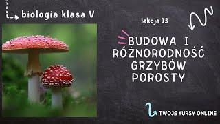 Biologia klasa 5 [Lekcja 13 - Budowa i różnorodność grzybów. Porosty]