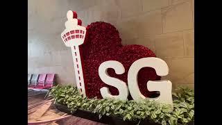 米其林必比登推荐的新加坡平民美食之旅 Michelin Bib Gourmand trip in Singapore 