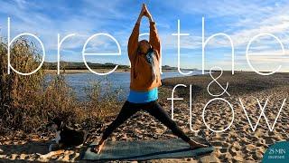 25 min Yoga to Breathe and Flow | Full Body Yoga to Feel at Peace | Awakened Actions