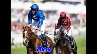 Godolphin's Top 20 Racehorses