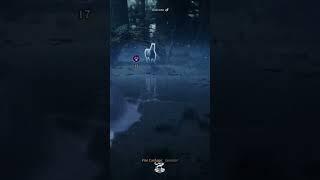How to Hogwarts Legacy - How To Get UNICORN / How To Tame - Catch Unicorns And Unicorn Den Location