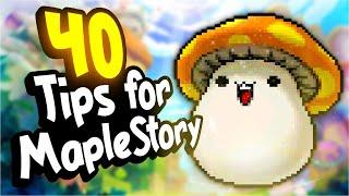 40 MapleStory Tips for New and Existing Players