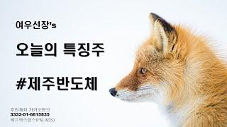 여우선장의   뉴스와 주식