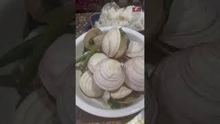 #shell #tambaya #bug-atan /Ma’am Shawie Vlog