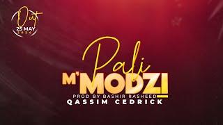 CASSIM CEDRICK - PALI MOODZI Lyrics video By @moosa Graphic