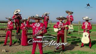 MARIACHI CRISTIANO | Video Oficial - Perdoname