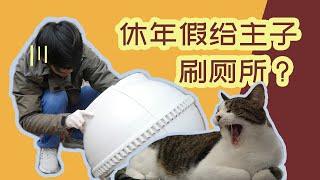 休年假给猫主子刷厕所？｜铲屎官Vlog【RVT大竹子】