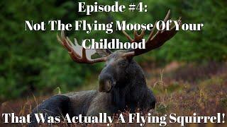 Take Note Podcast #4: The Flying Moose In the Room!