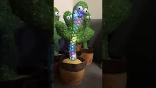 dancing cactus in the night