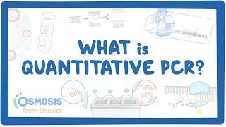 What is Quantitative PCR?