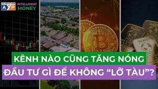 Kênh nào cũng TĂNG NÓNG - nên đầu tư gì để không LỠ TÀU | Intelligent Money