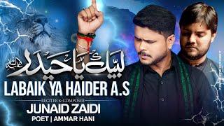 Heart Touching Kalam | Labaik Ya Haider | Title Noha 2024/1446 | Junaid Zaidi