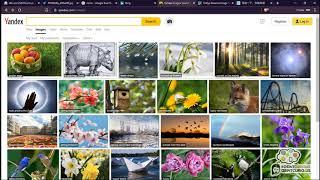 10 Minute Tip: Reverse Image Searching #1