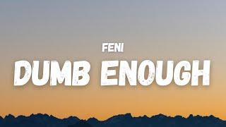 Feni - Dumb Enough (Lyrics)