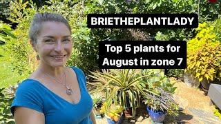 Top 5 plants for August in zone 7: succulents