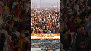 Maha Kumbh Mela 2025: World's Largest Gathering in India takes pace