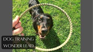 Dog Training Wonder Lead