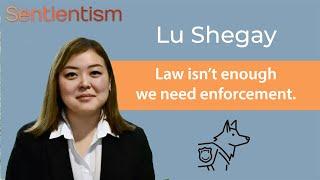 "I've only met one other vegan in Kazakhstan" - Lu Shegay - Animal Law Asia - Sentientism Ep:59