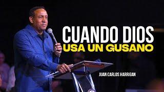 Cuando Dios usa un Gusano - Pastor Juan Carlos Harrigan