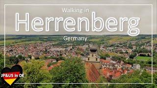 【Herrenberg②ドイツ】Walking in Herrenberg Germany / Day Trip from Stuttgart