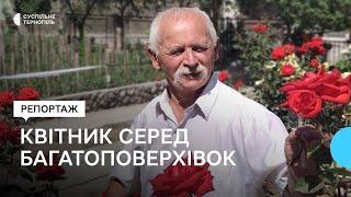 Квіткове подвір’я серед багатоповерхівок