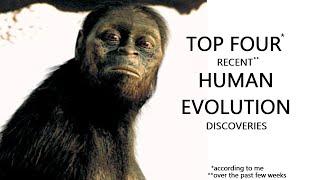 Top Four Recent Human Evolution Discoveries