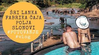 Šri Lanka - čaj & slonovi | travel vlog 2 | Ana Marija i Saša