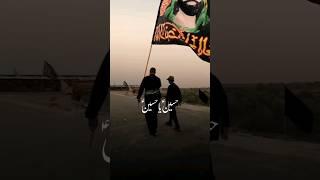 Arbaeen 2024 | Chalta Rahe Ye Karwaan | Nadeem Sarwar #arbaeen2024 #karbala #iraqicity #imamhussain