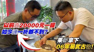 以前賣20000元一提，如今連一折都不到？果斷拿下06年易武古樹！购茶请加微信/赖line：HDLG002#普洱茶#古树茶#老班章#古树茶#茶#茶叶#茶葉#古樹茶 #普洱茶wechat #tea