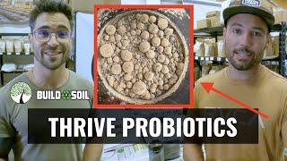 BuildASoil Product Highlight: THRIVE PROBIOTICS YAH-WHEY