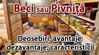 Beci sau pivnita – deosebiri, avantaje, dezavantaje, caracteristici