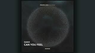 Danix  - Can You Feel