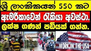 srilanka Forigen Employement News Today|Srilanka Slbfe Special Notice Today|