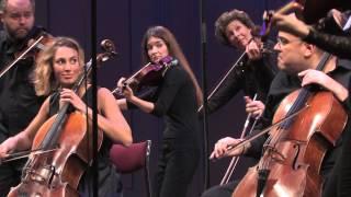 Camerata Nordica String Orchestra - Grieg "Holberg Suite"