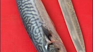 How to quickly make a great mackerel fillet #shorts