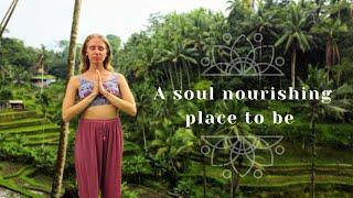 Spiritual Capital of Bali - UBUD 