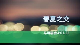 马可福音系列讲道：春夏之交【2019年5月26，马可福音4:1-25】