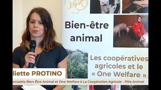 Conférence "Bien-être animal" - SPACE 2024