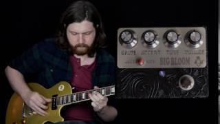 Amplified Nation Big Bloom Pedal Demo - Part 1